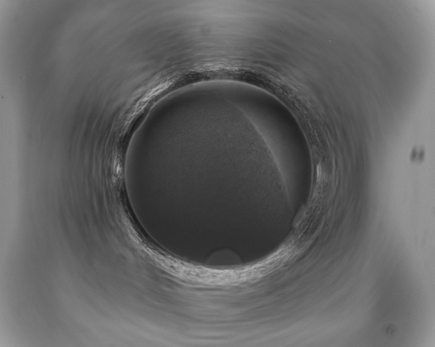 X0000091850048200709051155