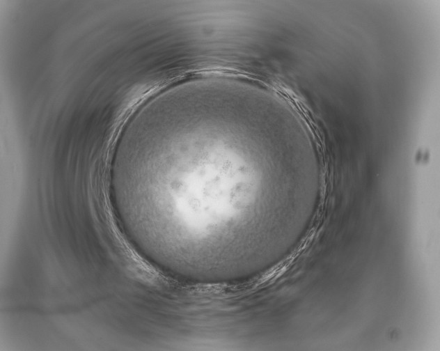X0000091850049200709051155