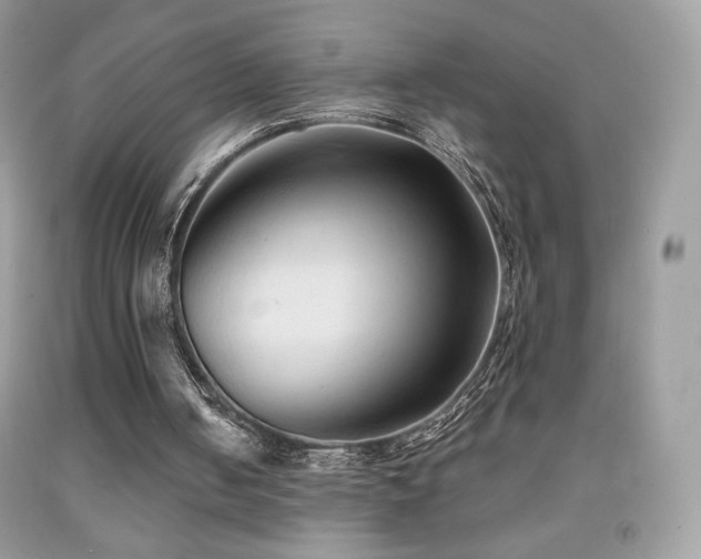 X0000091850050200709051155