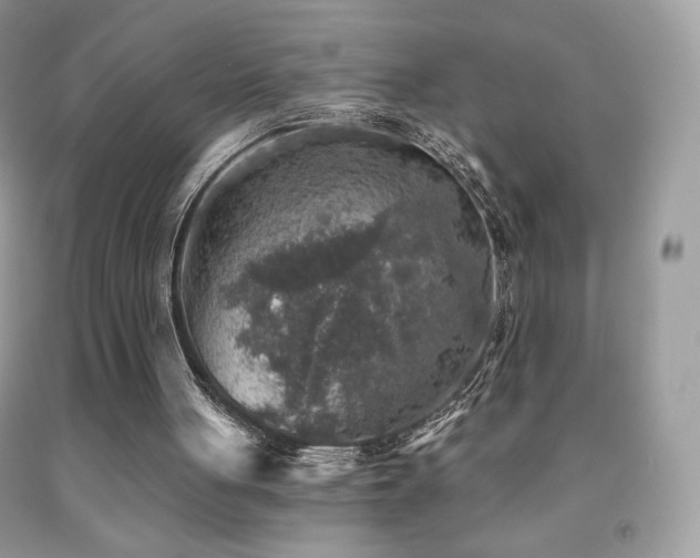 X0000091850051200709051155