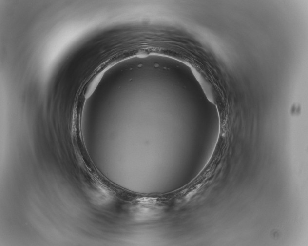 X0000091850052200709051155