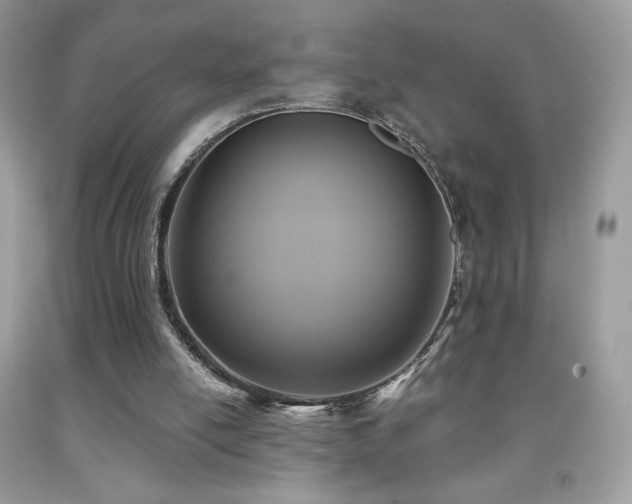 X0000091850054200709051155