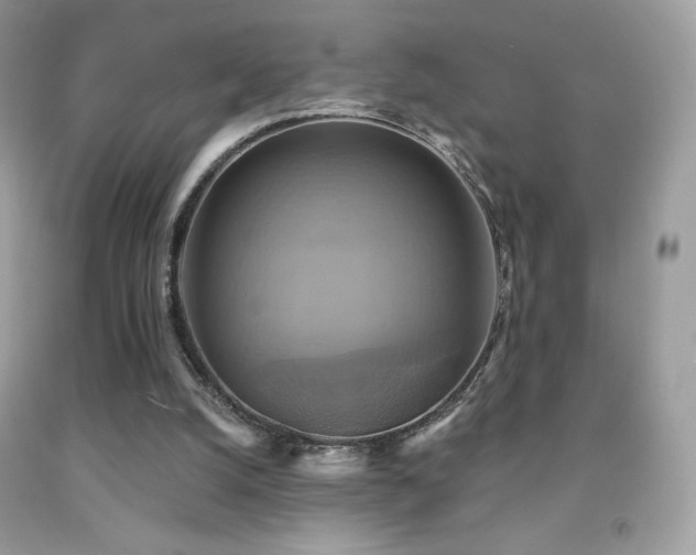 X0000091850056200709051155