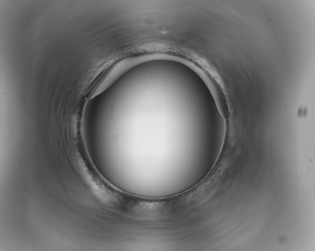 X0000091850057200709051155