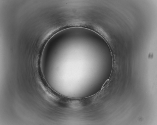 X0000091850058200709051155