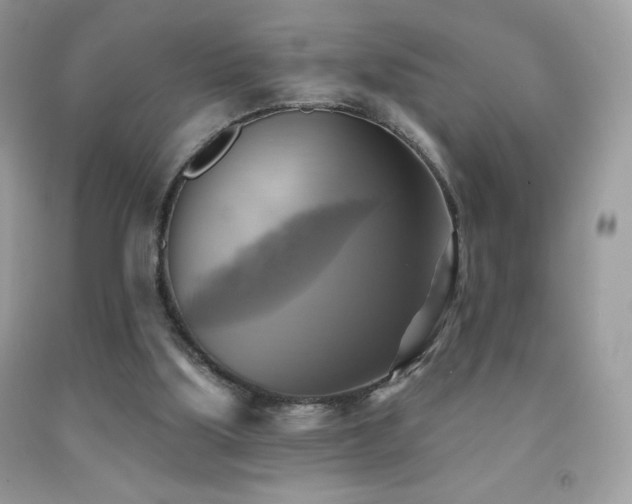 X0000091850059200709051155