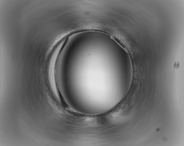 X0000091850060200709051155