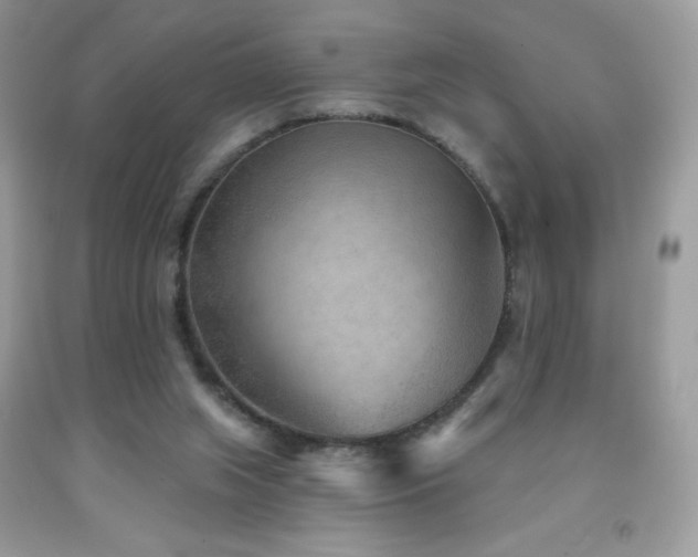 X0000091850063200709051155