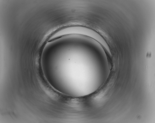 X0000091850064200709051155