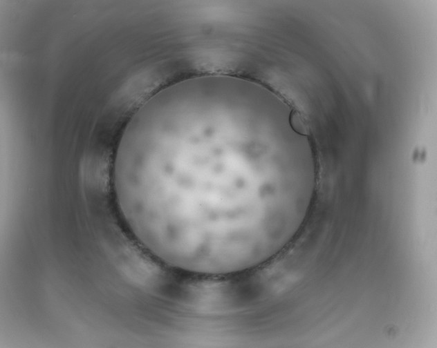 X0000091850065200709051155