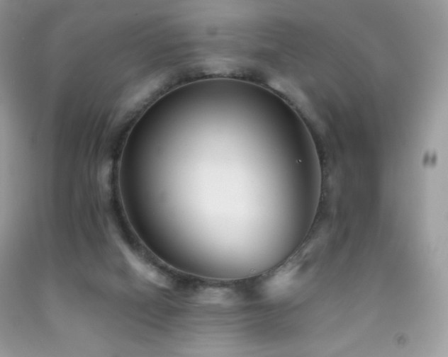 X0000091850066200709051155