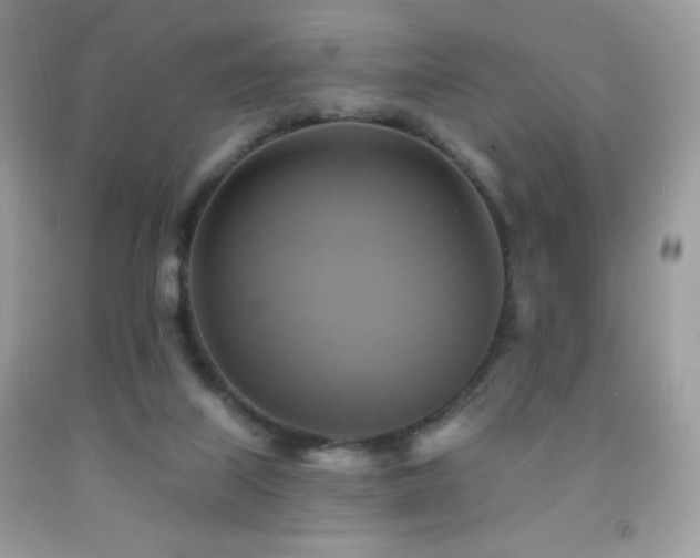 X0000091850067200709051155