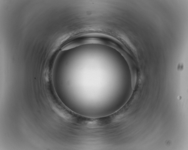 X0000091850068200709051155