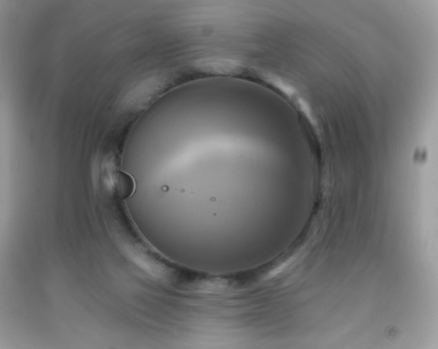 X0000091850069200709051155