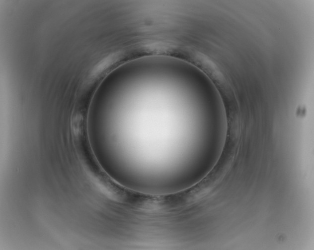 X0000091850071200709051155