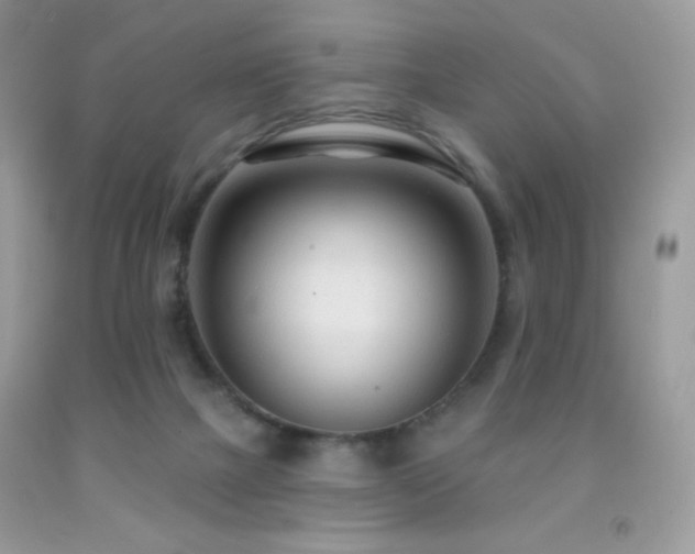 X0000091850073200709051155