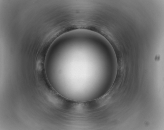 X0000091850074200709051155