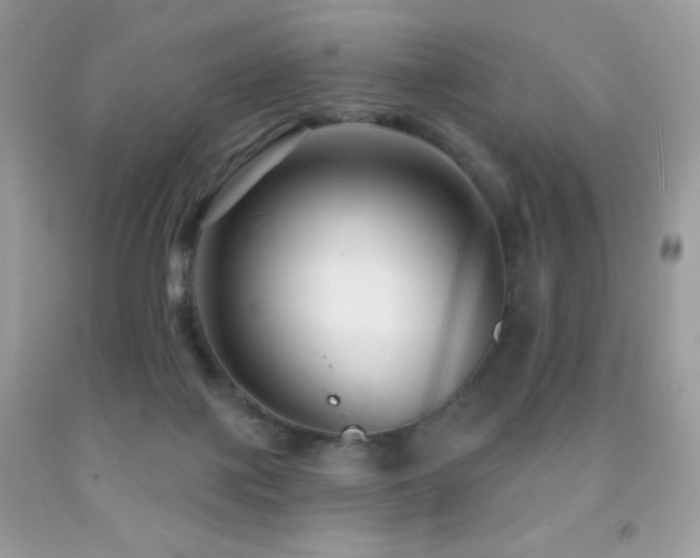 X0000091850075200709051155