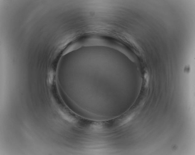 X0000091850076200709051155