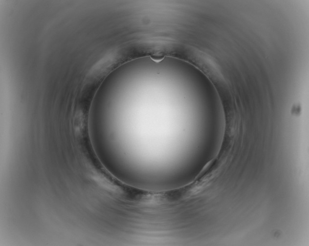 X0000091850077200709051155