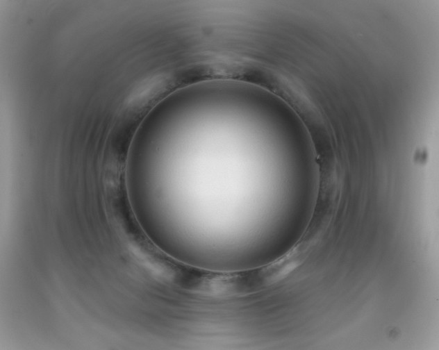 X0000091850078200709051155