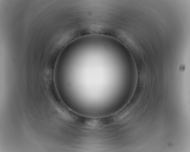 X0000091850079200709051155