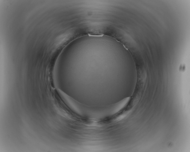 X0000091850080200709051155
