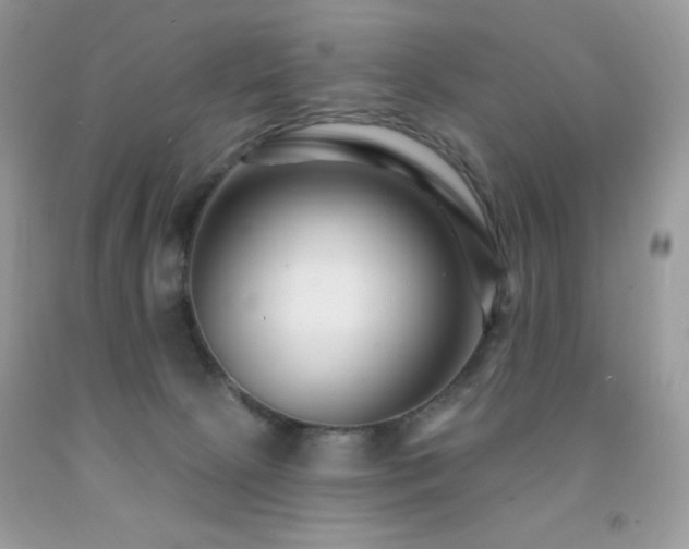 X0000091850081200709051155