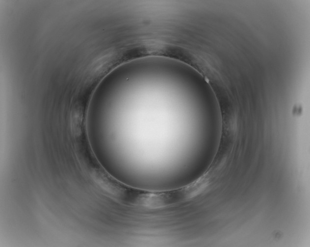X0000091850082200709051155