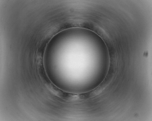 X0000091850083200709051155