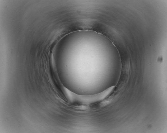 X0000091850084200709051155