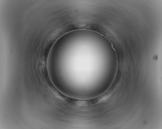 X0000091850085200709051155