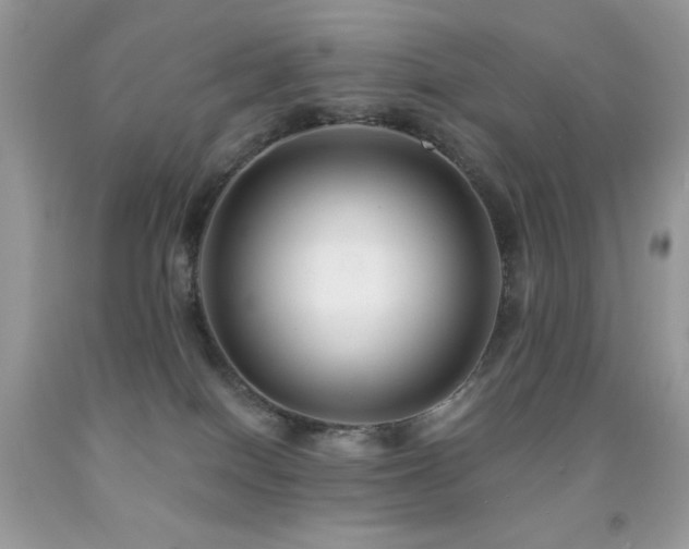 X0000091850086200709051155