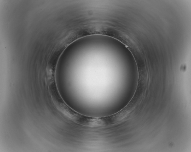 X0000091850087200709051155
