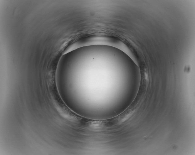 X0000091850088200709051155