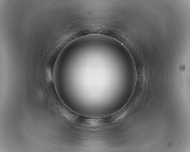 X0000091850089200709051155