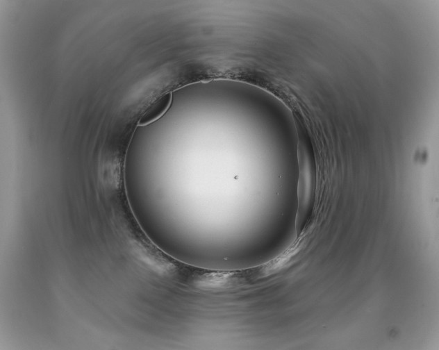 X0000091850090200709051155