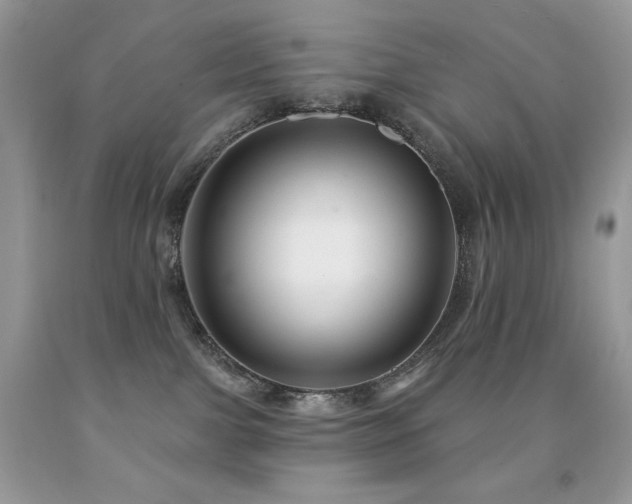 X0000091850091200709051155