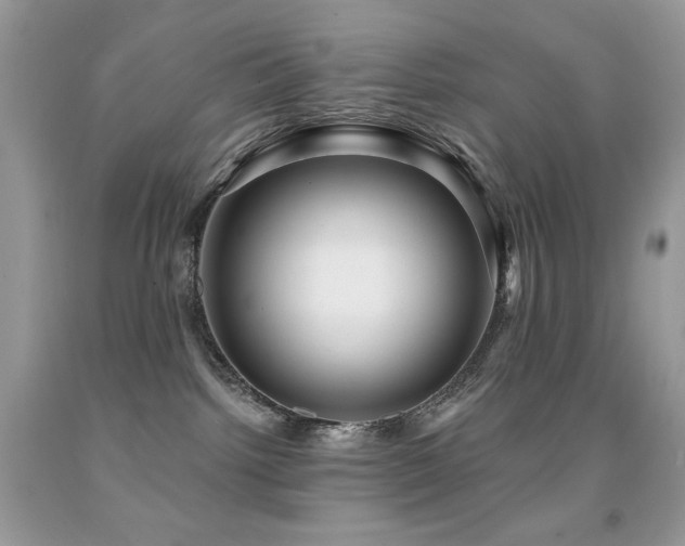 X0000091850092200709051155
