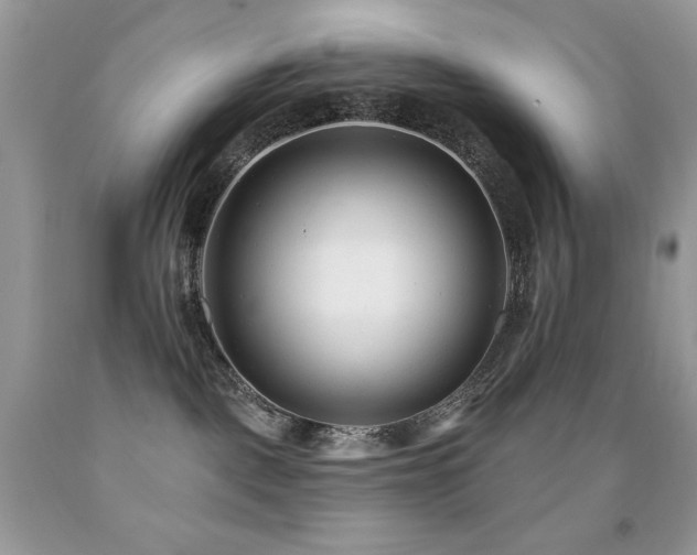 X0000091850093200709051155