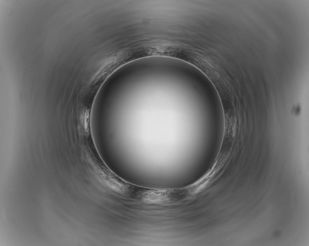 X0000091850094200709051155