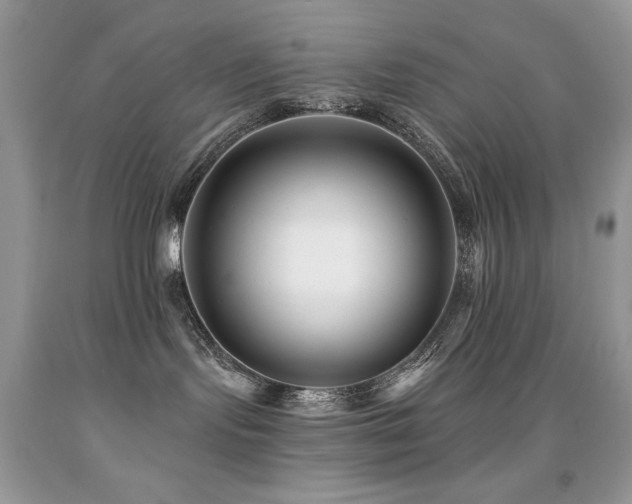 X0000091850095200709051155