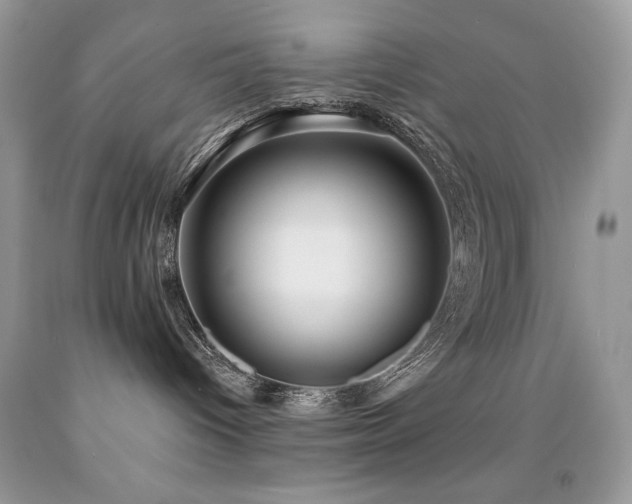 X0000091850096200709051155