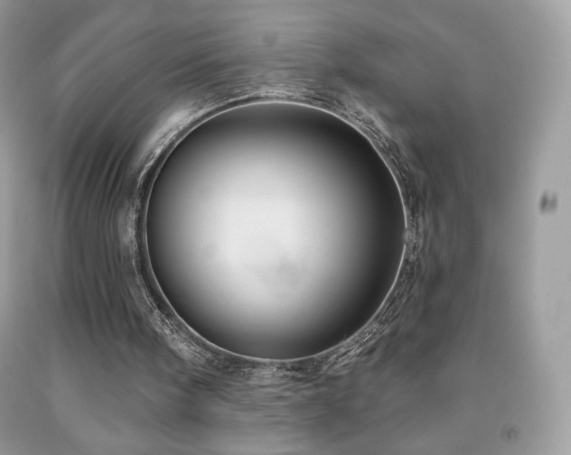 X0000091850098200709051155