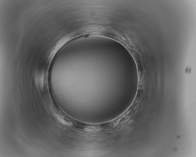 X0000091850099200709051155