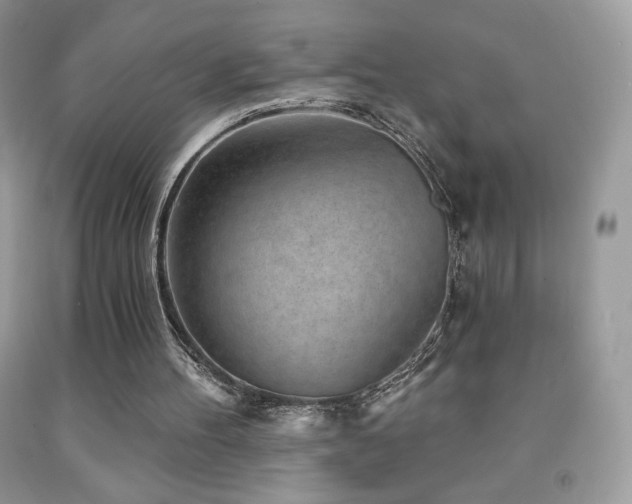 X0000091850100200709051155