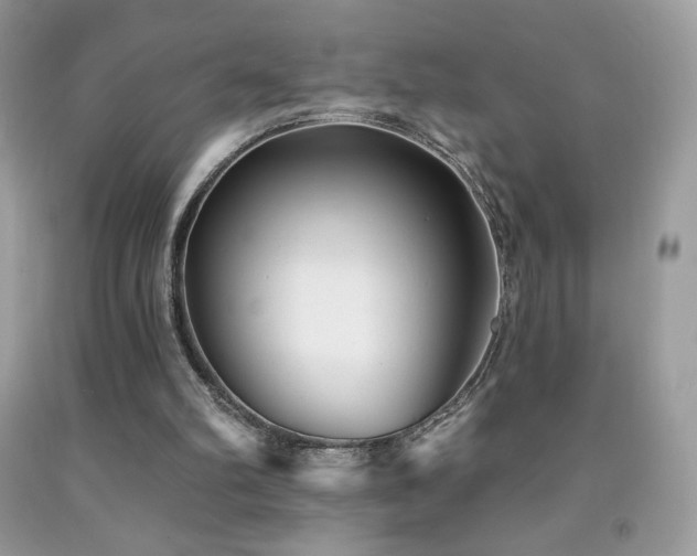 X0000091850102200709051155