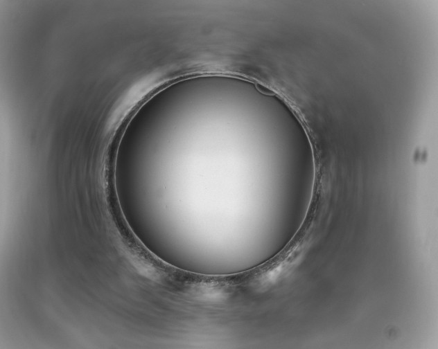 X0000091850103200709051155