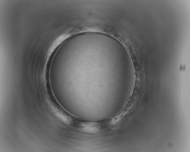 X0000091850104200709051155
