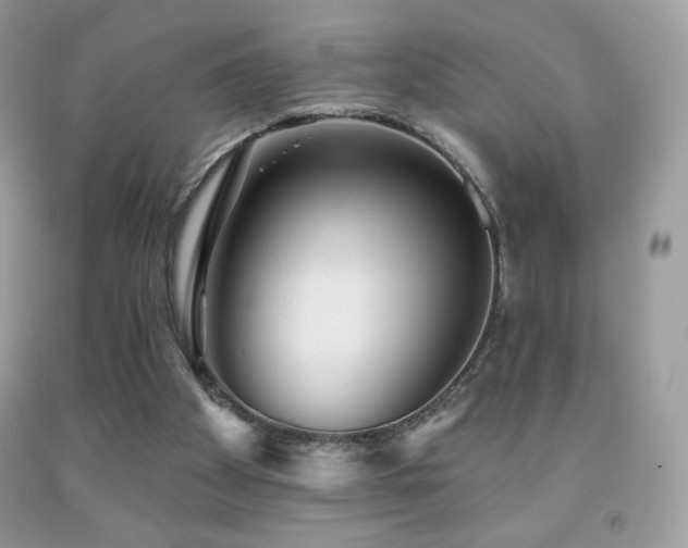 X0000091850105200709051155